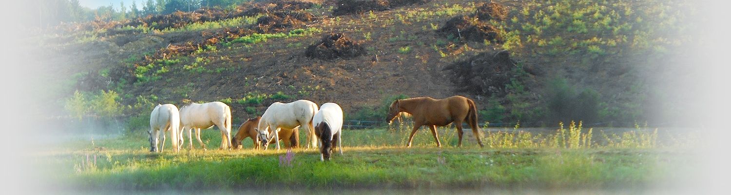 Randonnée dans les Monédières (Corrèze 19)