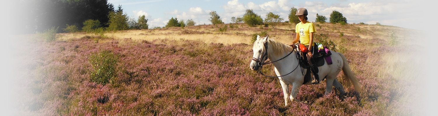Randonnée dans les Monédières (Corrèze 19)